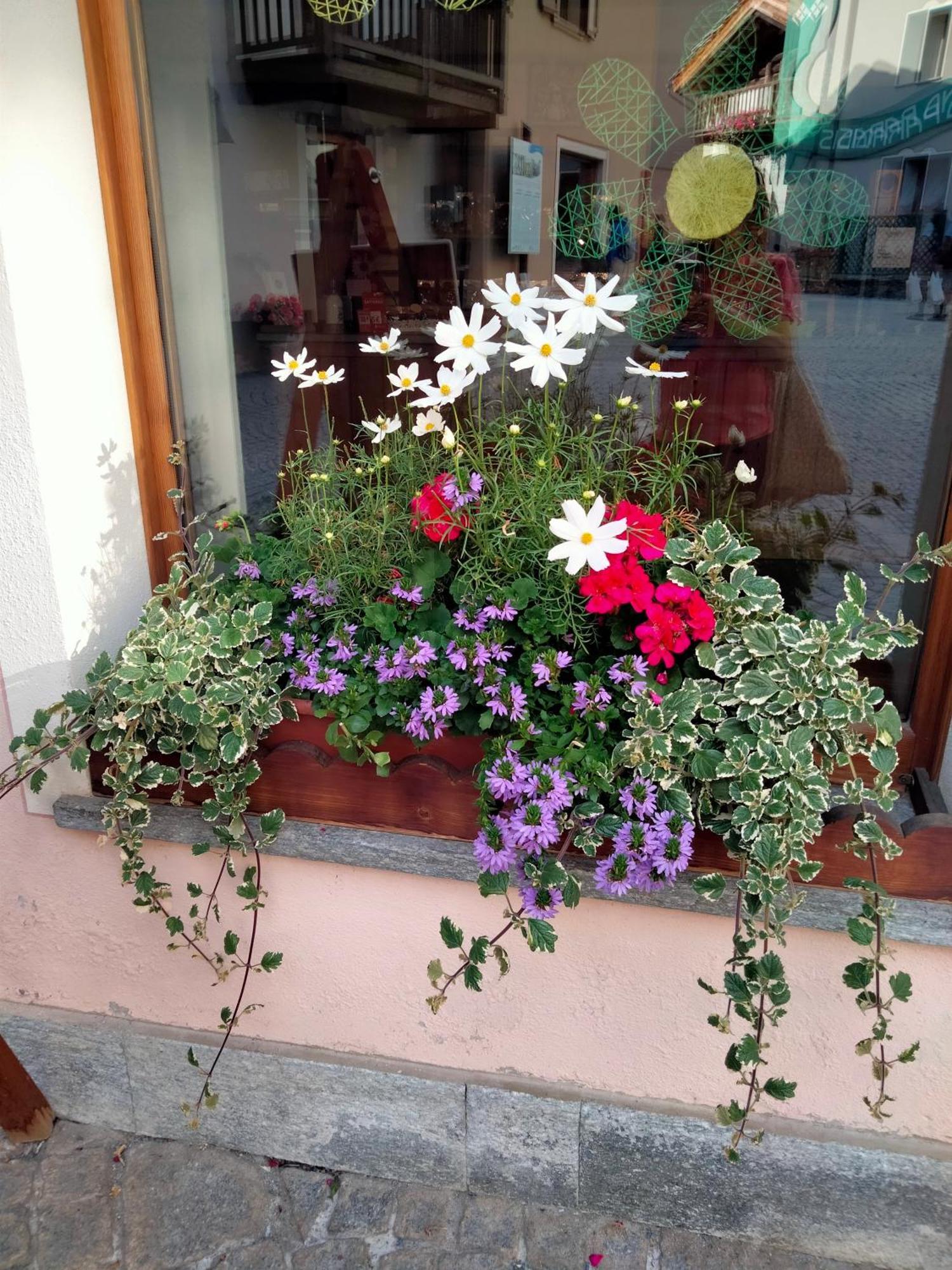 Appartamento Signorile Con Giardino Aosta Exterior photo