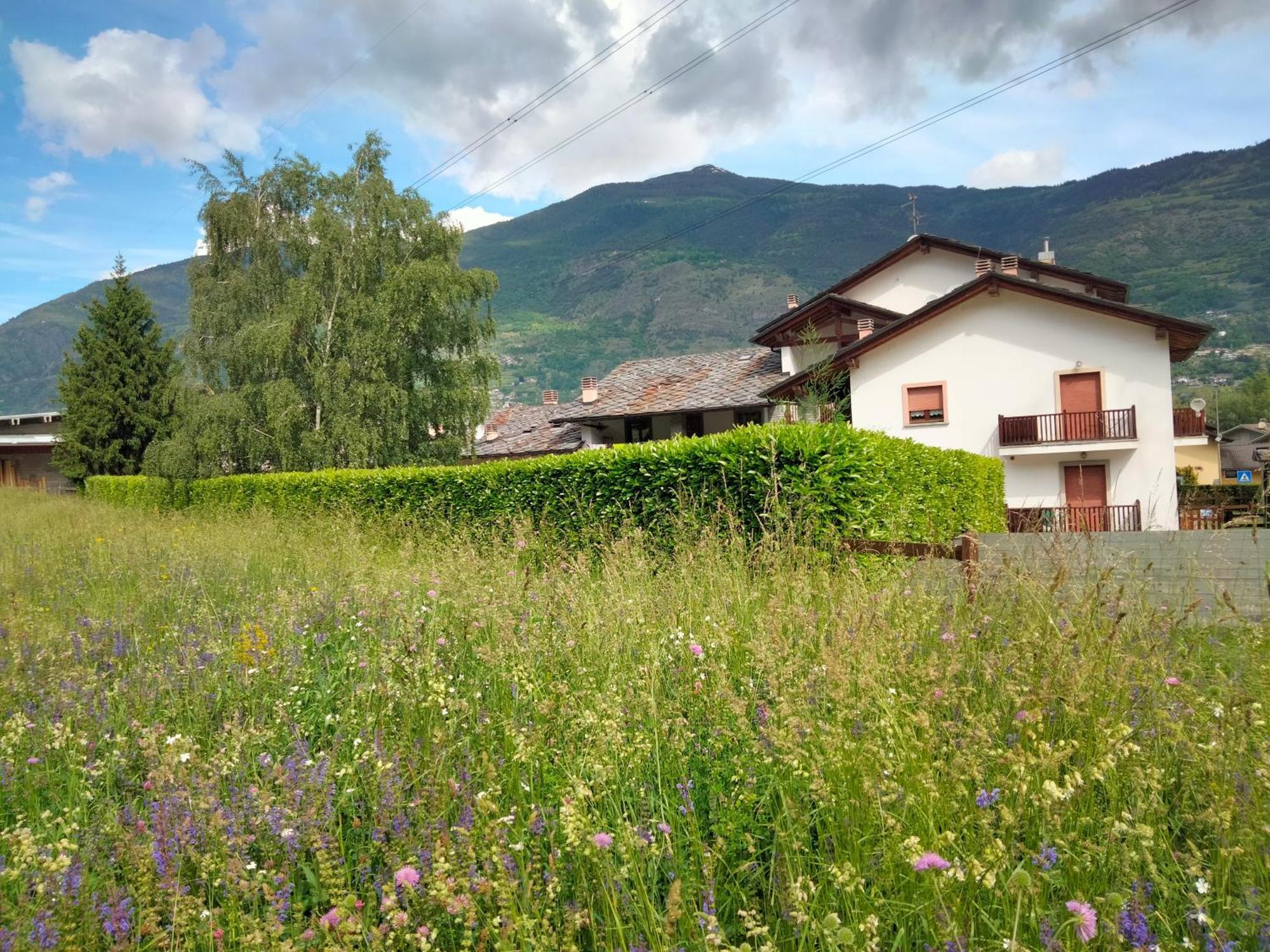Appartamento Signorile Con Giardino Aosta Exterior photo